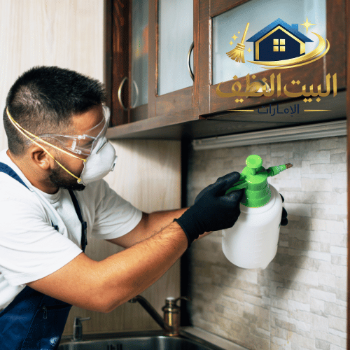 شركة مكافحة الحشرات في الشارقة