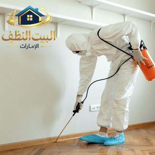 شركة مكافحة الحشرات في الشارقة